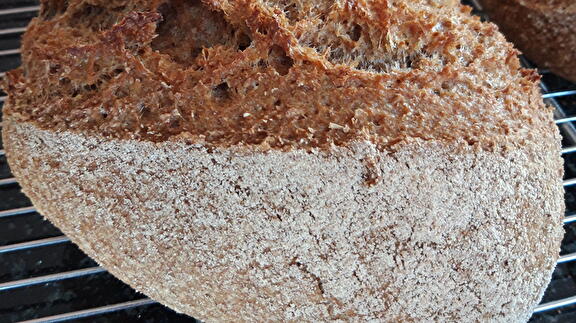 volkoren speltbrood van Landgoud uit Kloosterburen